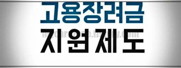  60세 이상 고령자 고용 지원 정책 제도 총정리 (ft. 고용지원금, 계속고용장려금)