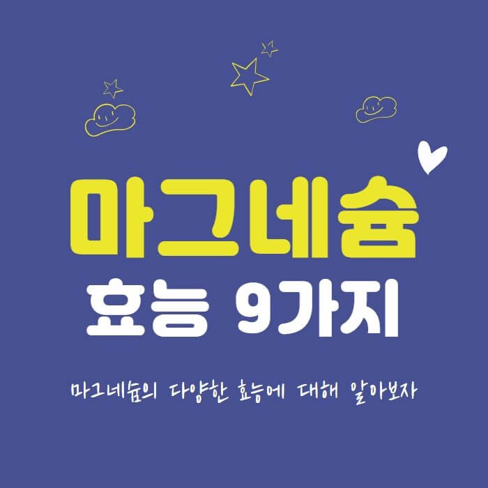 마그네슘 효능 9가지