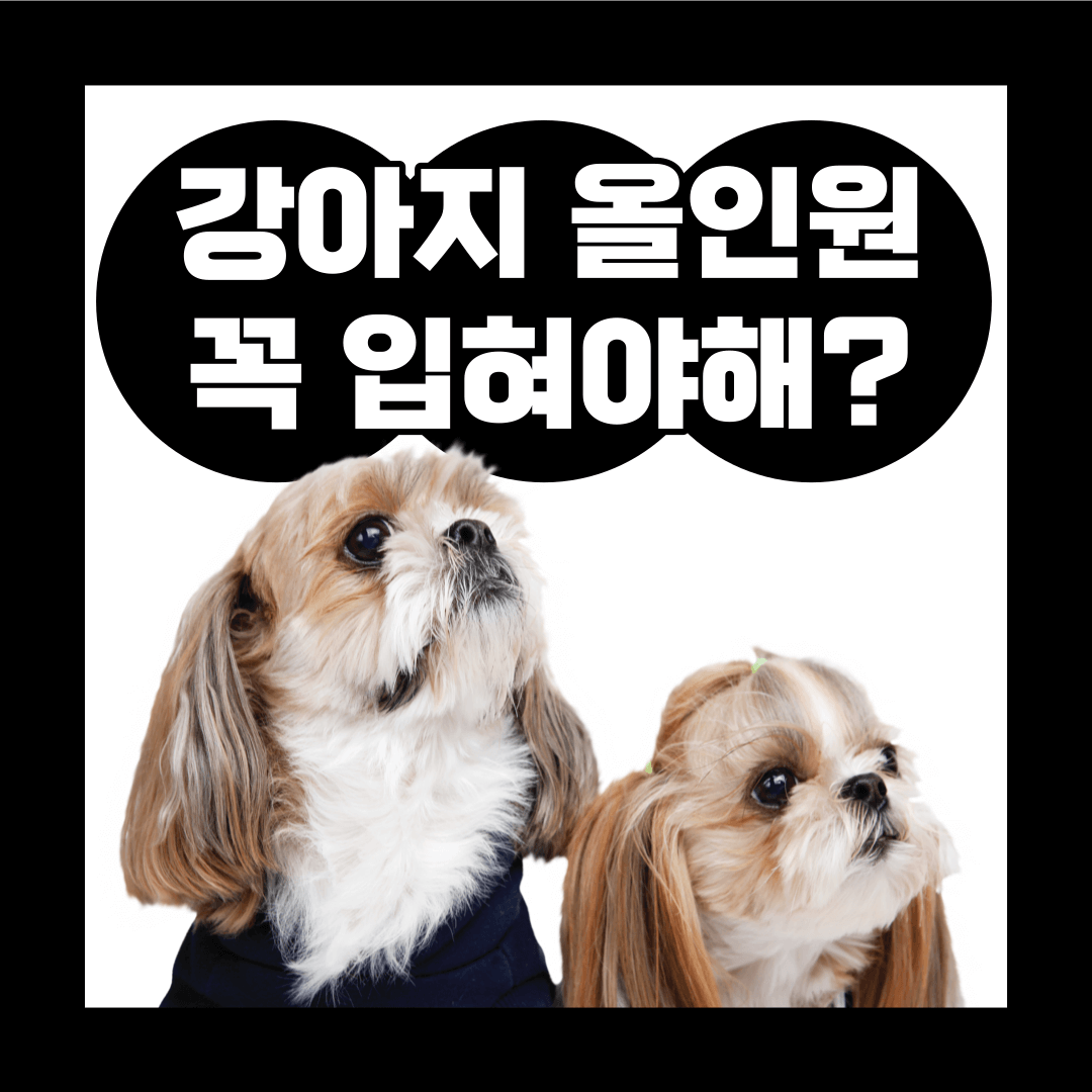강아지-올인원-옷-안-좋은-점
