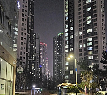 자기-확신-과학-습관-바꾸기-자신감-부족-뇌과학-루틴-키우는-방법-자존감-높이는-실천-심리학