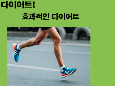  다이어트 식단, 다양한 다이어트 방법들 알아보기!