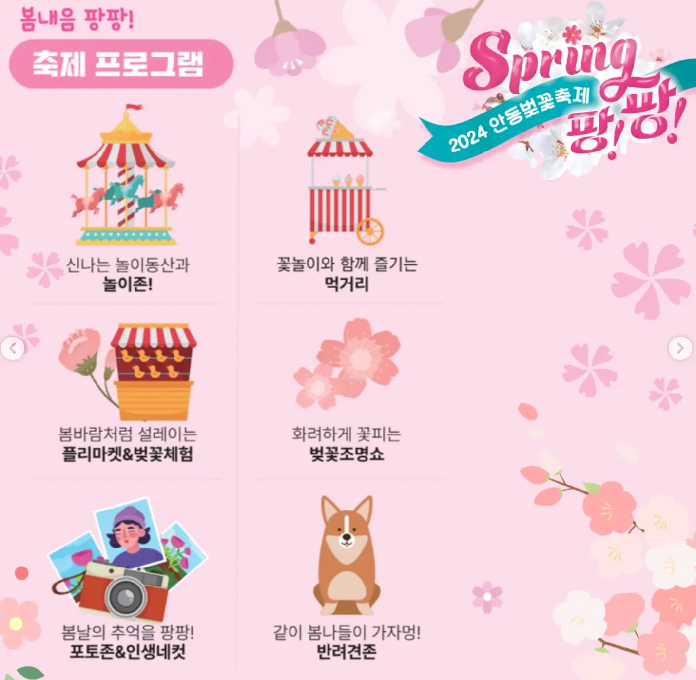 안동벚꽃축제
