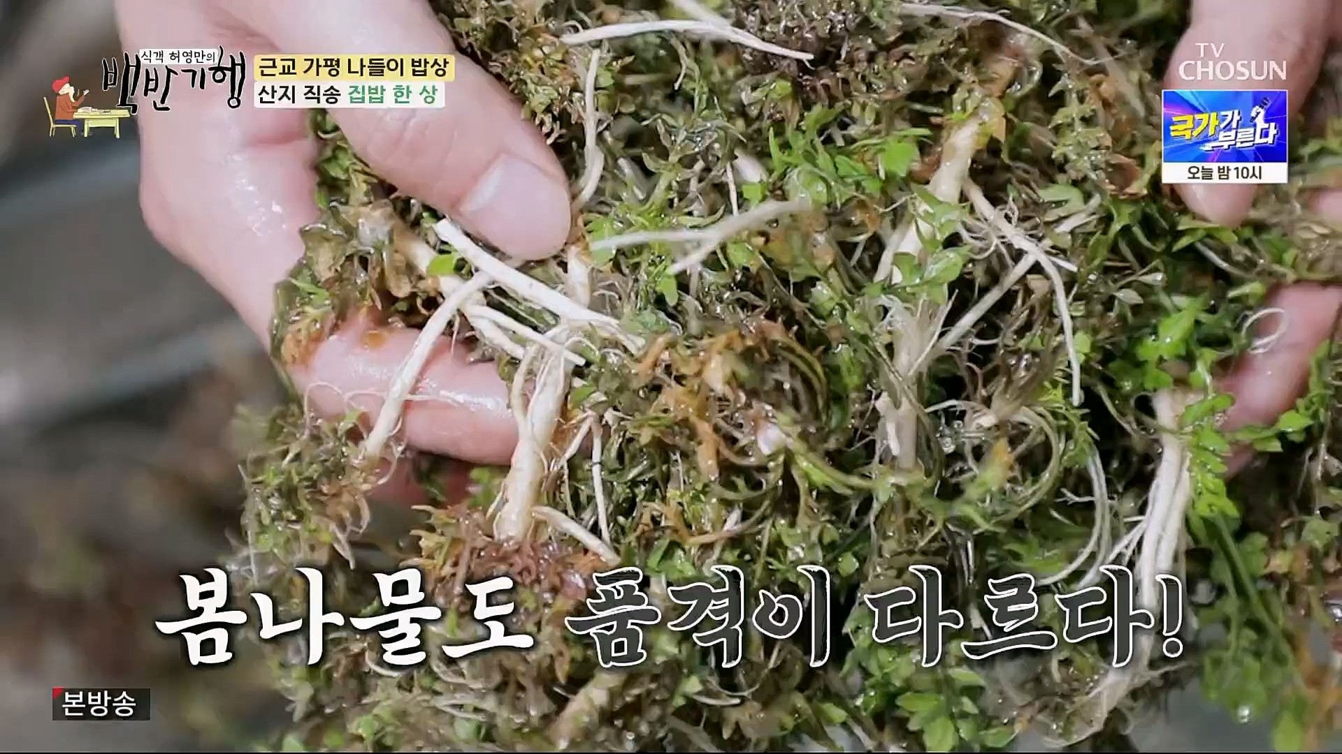 식객 허영만의 백반기행.E195.230407p.H264-F1RST.mp4_20230408_172337.424.jpg