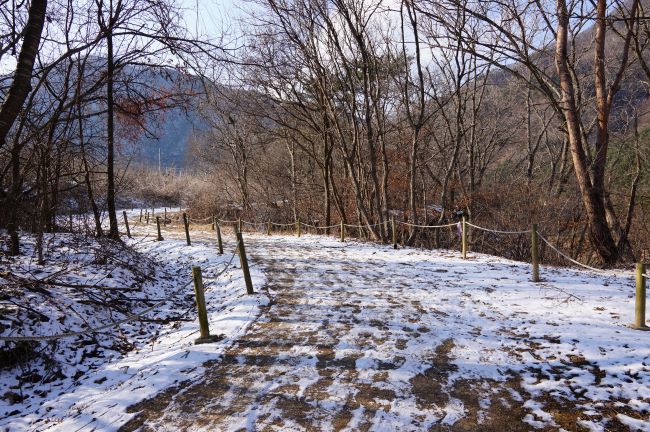 눈쌓인 산책길&#44; 수많은 발자국&#44; 양쪽에 빼곡한 잡목&#44; 푸른 하늘&#44;