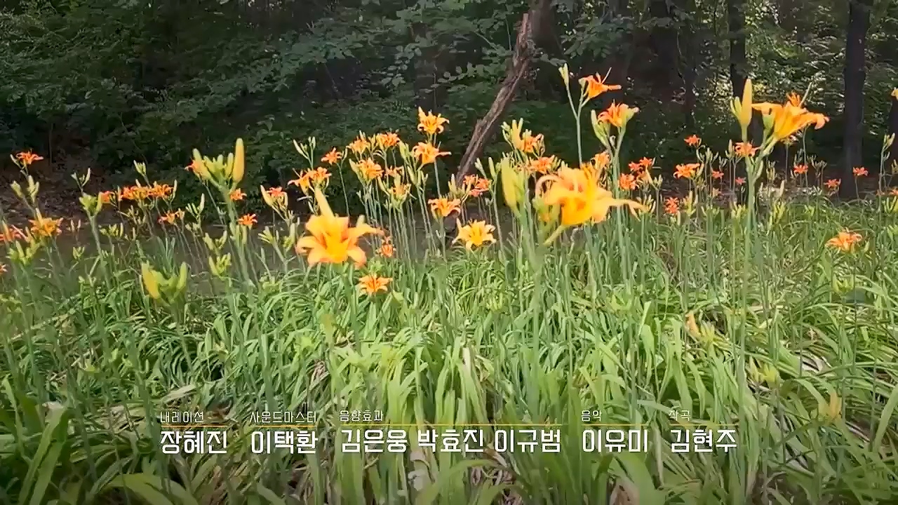 다큐 인사이트 207화 다시보기.ts_20240928_171519.191.jpg