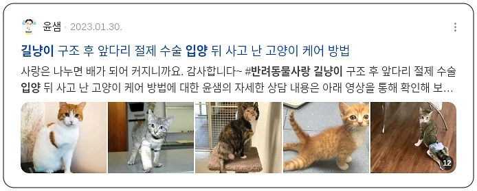 길냥이 입양, 반려동물 사랑_2_subsection