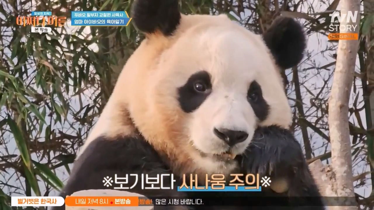 어쩌다 어른.E41.240131p-NEXT.mp4_20240201_202225.119.jpg