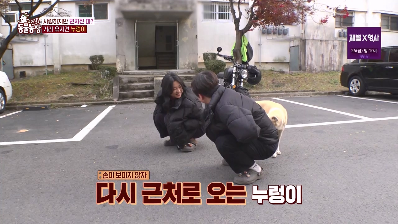 TV 동물농장.E1154.240115p-NEXT.mp4_20240114_184402.686.jpg