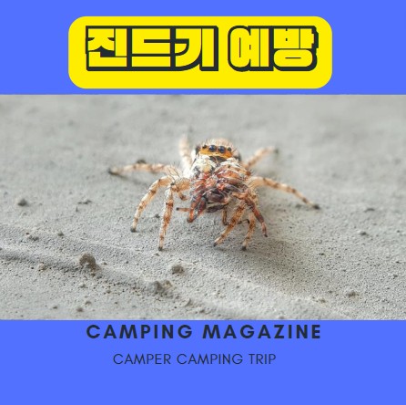  진드기 퇴치 예방 가을 캠핑 준비하자