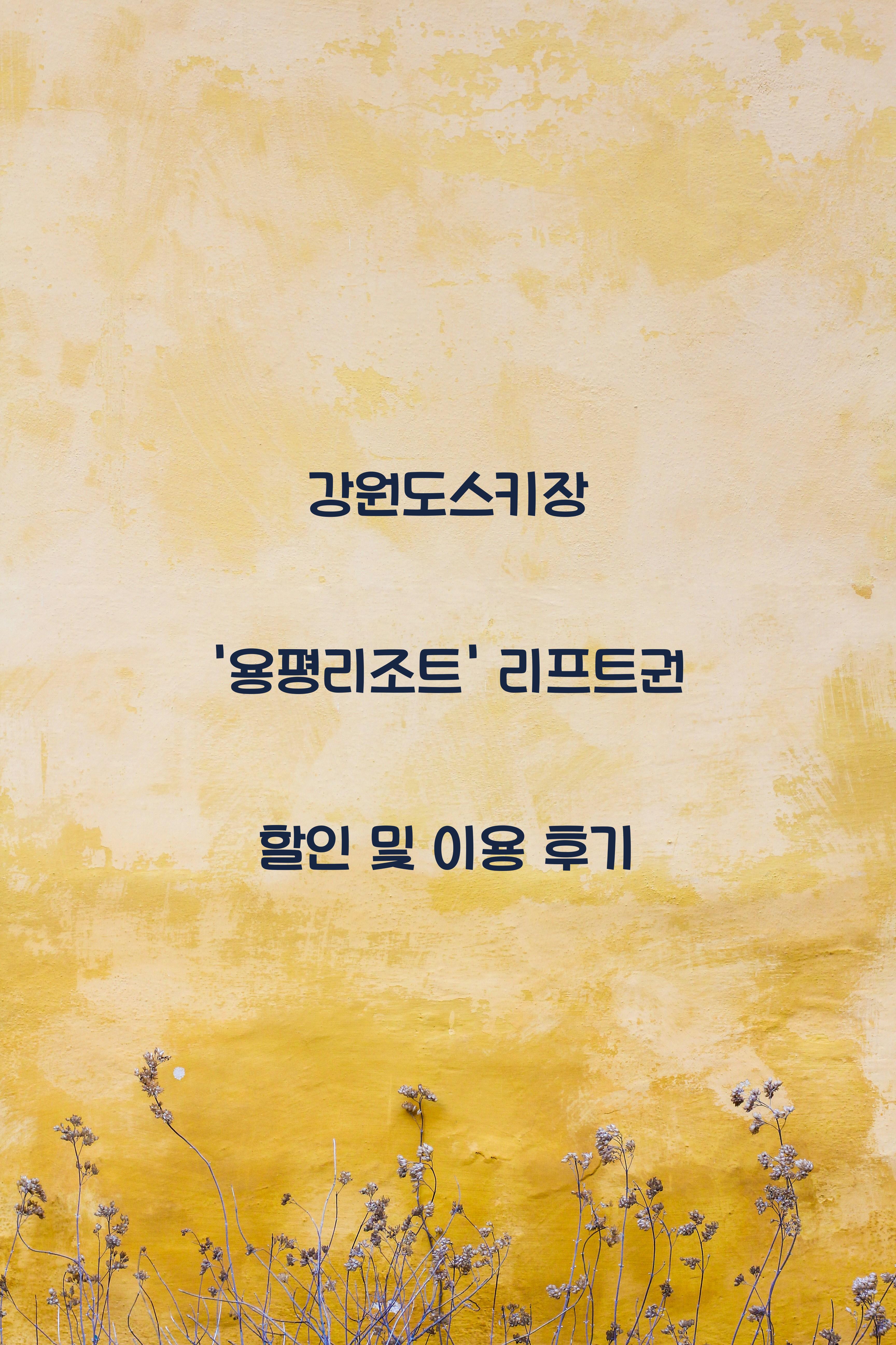 강원도스키장