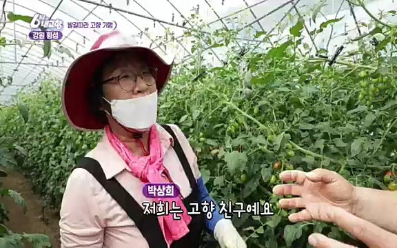 220815_발길따라 고향 기행.ts_20220823_181527.642.jpg