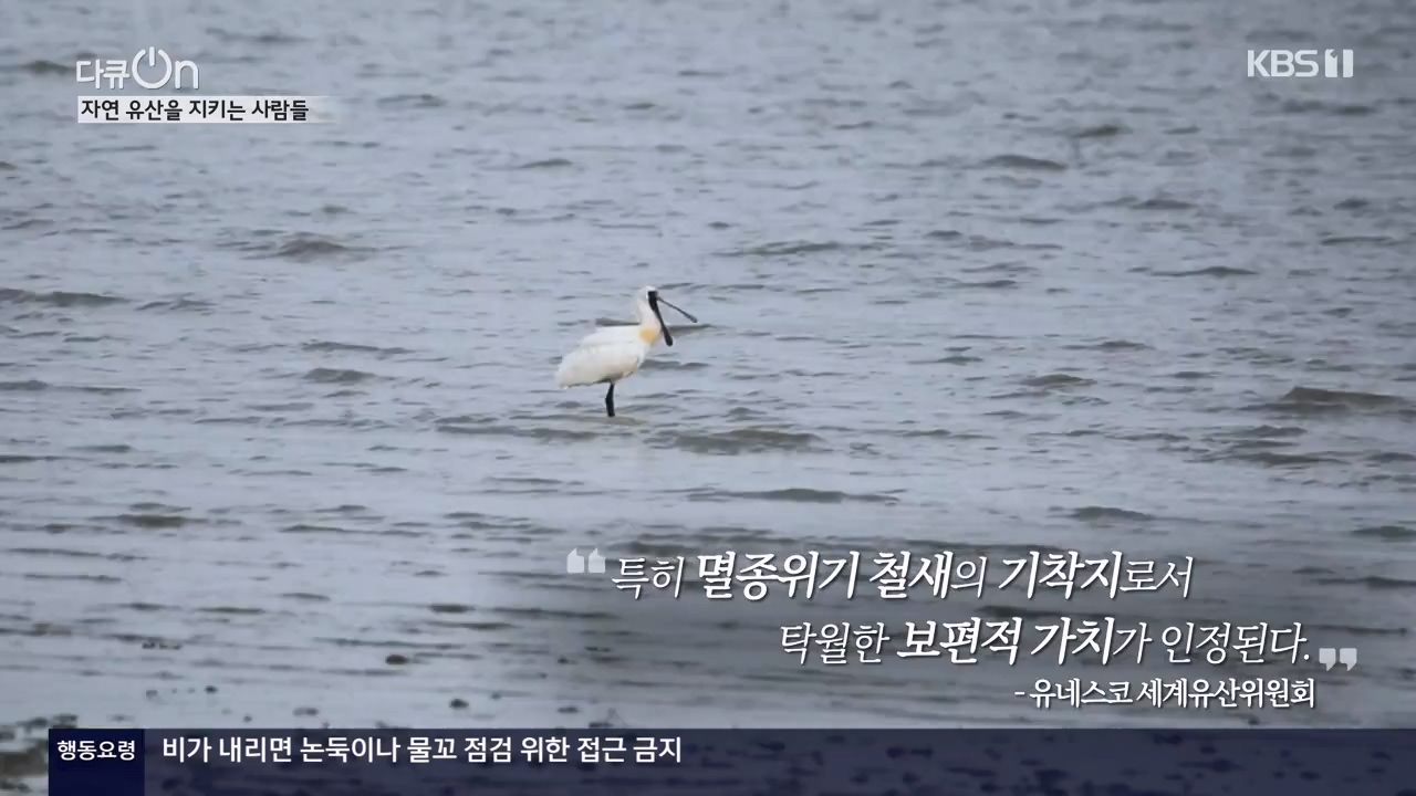 다큐 온.E206.230723p-NEXT.mp4_20230724_214223.656.jpg