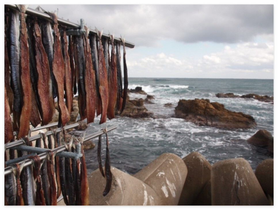 포항 구룡포 과메기 축제 기본정보&amp;#44; 일정표&amp;#44; 가수 공연&amp;#44; 주차정보 총정리