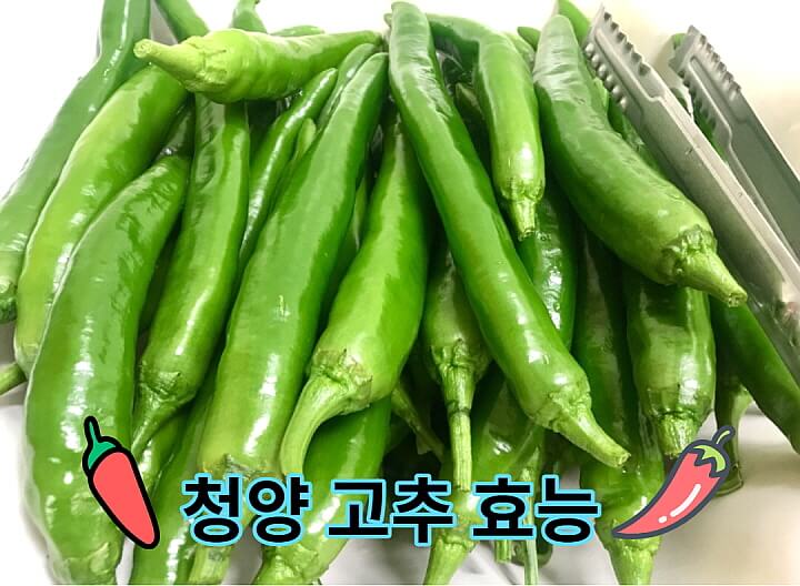  식욕을 자극하는 청양 고추 효능은?