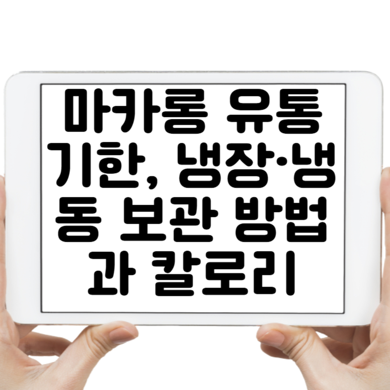 마카롱 유통기한, 냉장·냉동 보관 방법과 칼로리 총정리