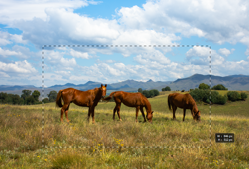 영역 선택 Rectangle