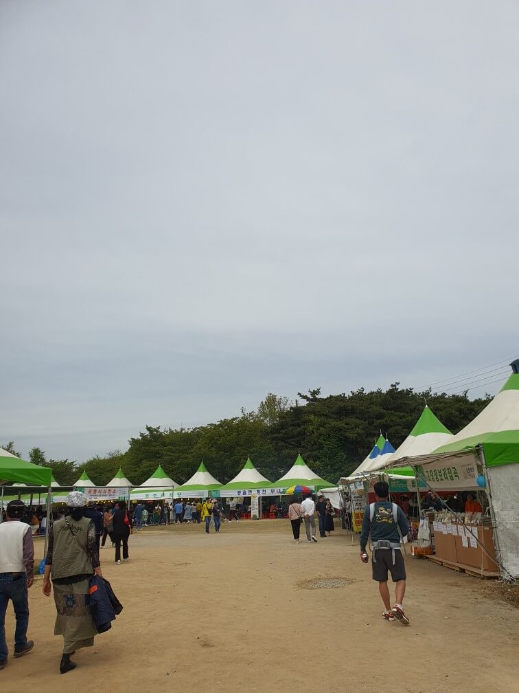 고창 청보리밭 축제