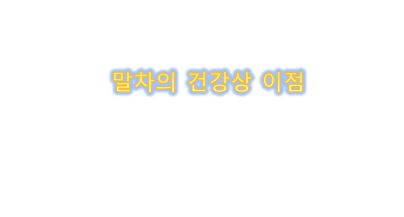  말차의 건강상 이점