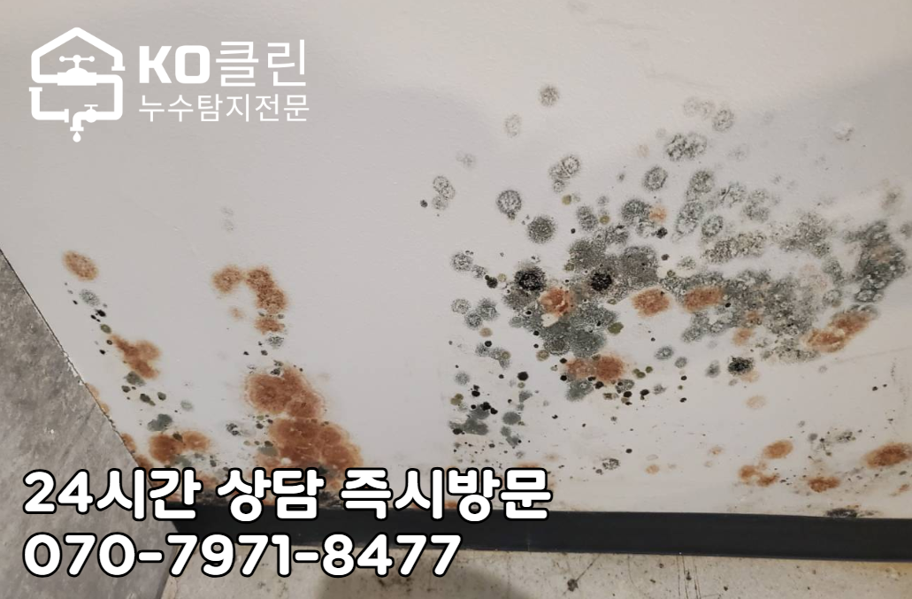 송파동 누수 탐지와 누수 공사3