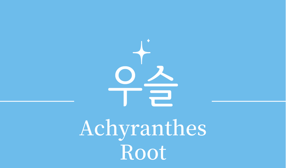 &#39;쇠무릎 우슬(Achyranthes Root)&#39;