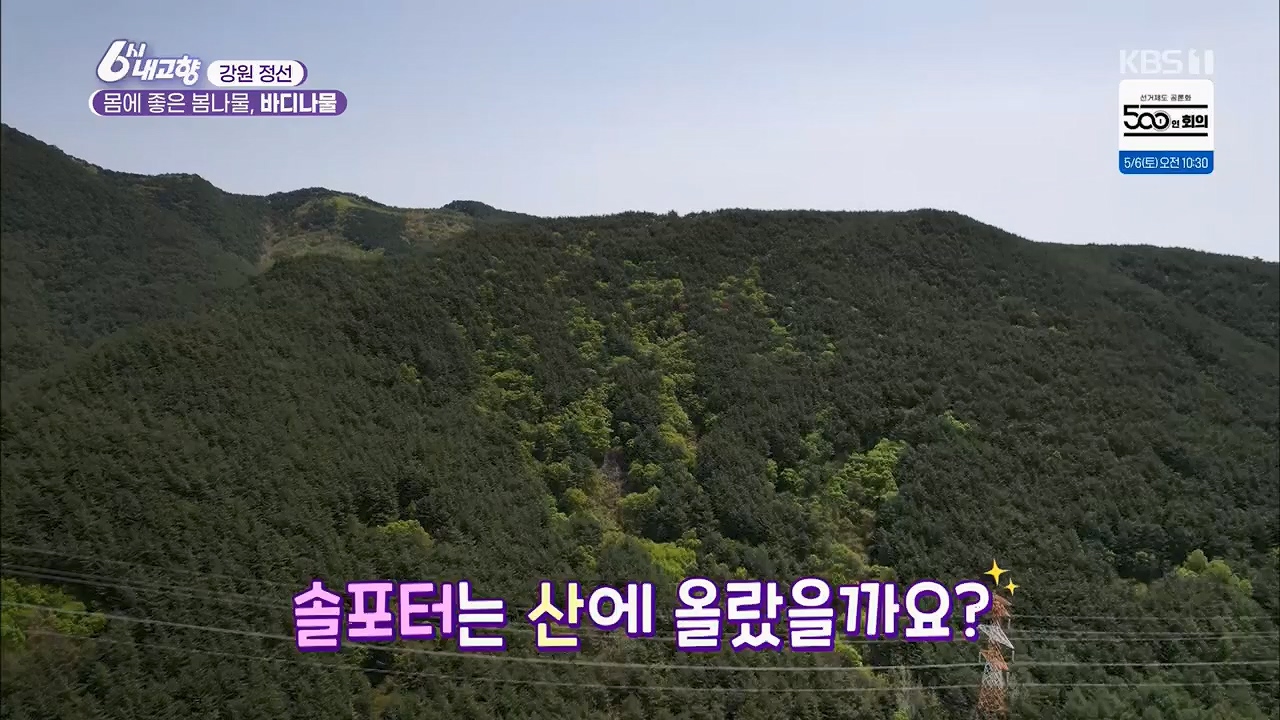 6시 내고향.E7779.230503p.H264-F1RST.mp4_20230505_183300.110.jpg