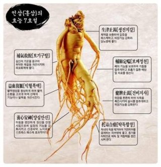 홍삼 이미지