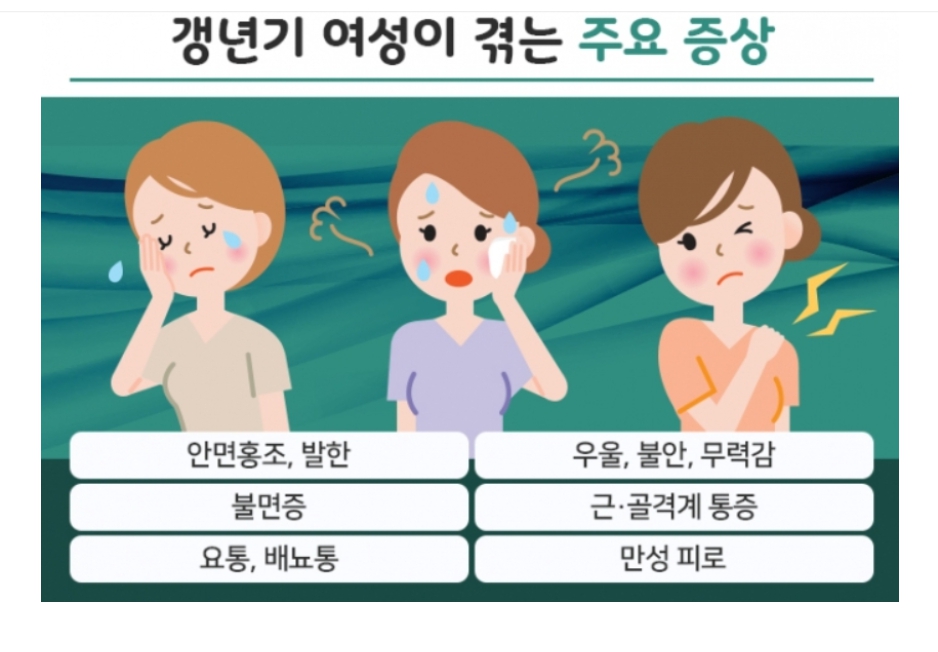 갱년기의 증상 이미지