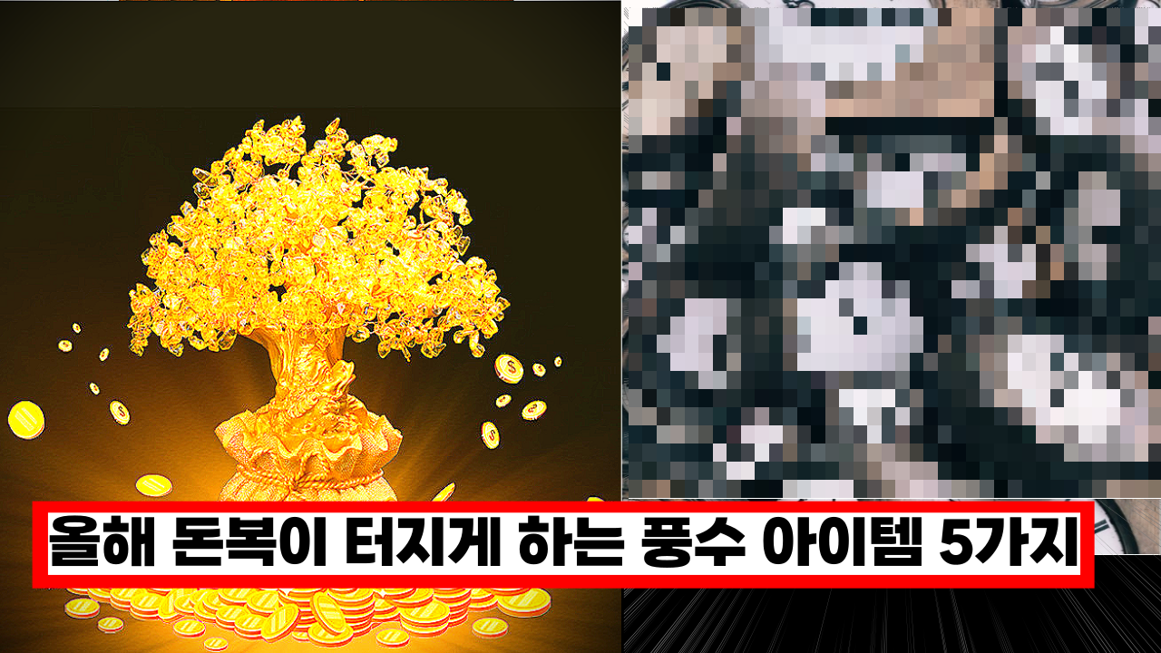  '효과 직빵!' 2022년 돈복이 대박 터지게 하는 풍수 아이템 5가지