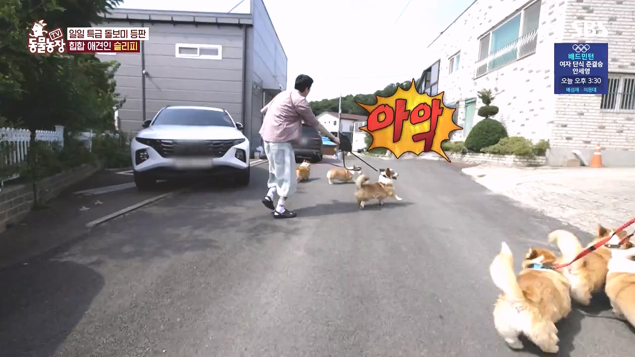 TV 동물농장.E1183.240805p-NEXT.mp4_20240804_154936.534.jpg