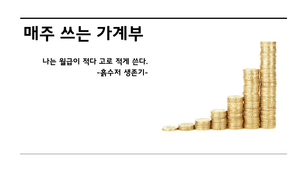  한주 아껴쓰셨나요? [7/11~7/17일] 주간 가계부