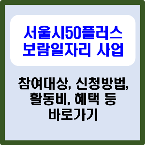 서울시 50플러스 재단 보람일자리 사업 사회공헌 일자리 참여대상 신청방법 활동비