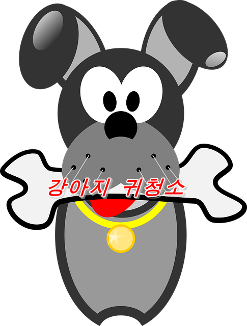  개 귀 청소 얼마나 자주 해야할까요? 개 귀 청소의 주의점은?