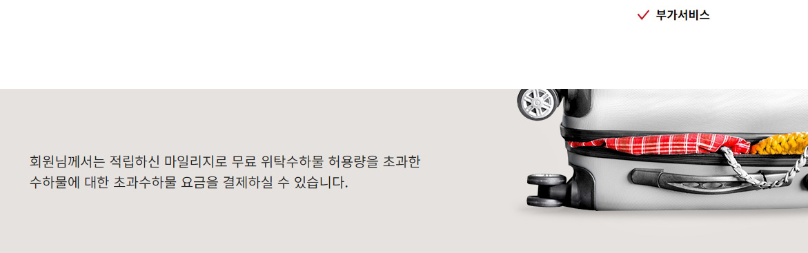 부가서비스 이용