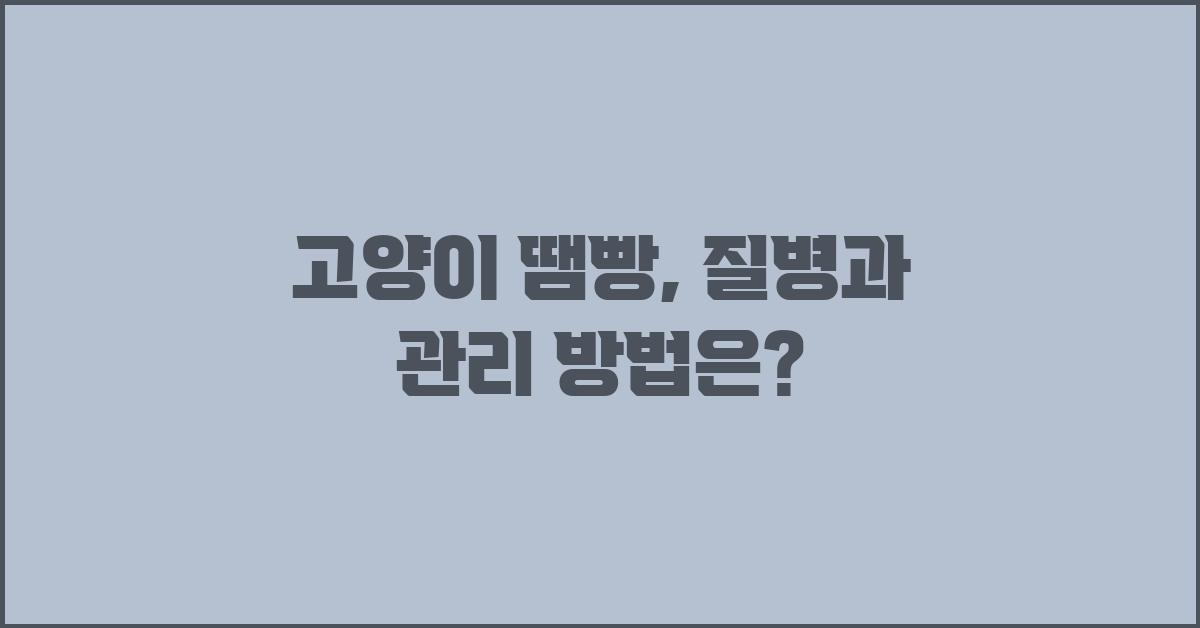 고양이 땜빵