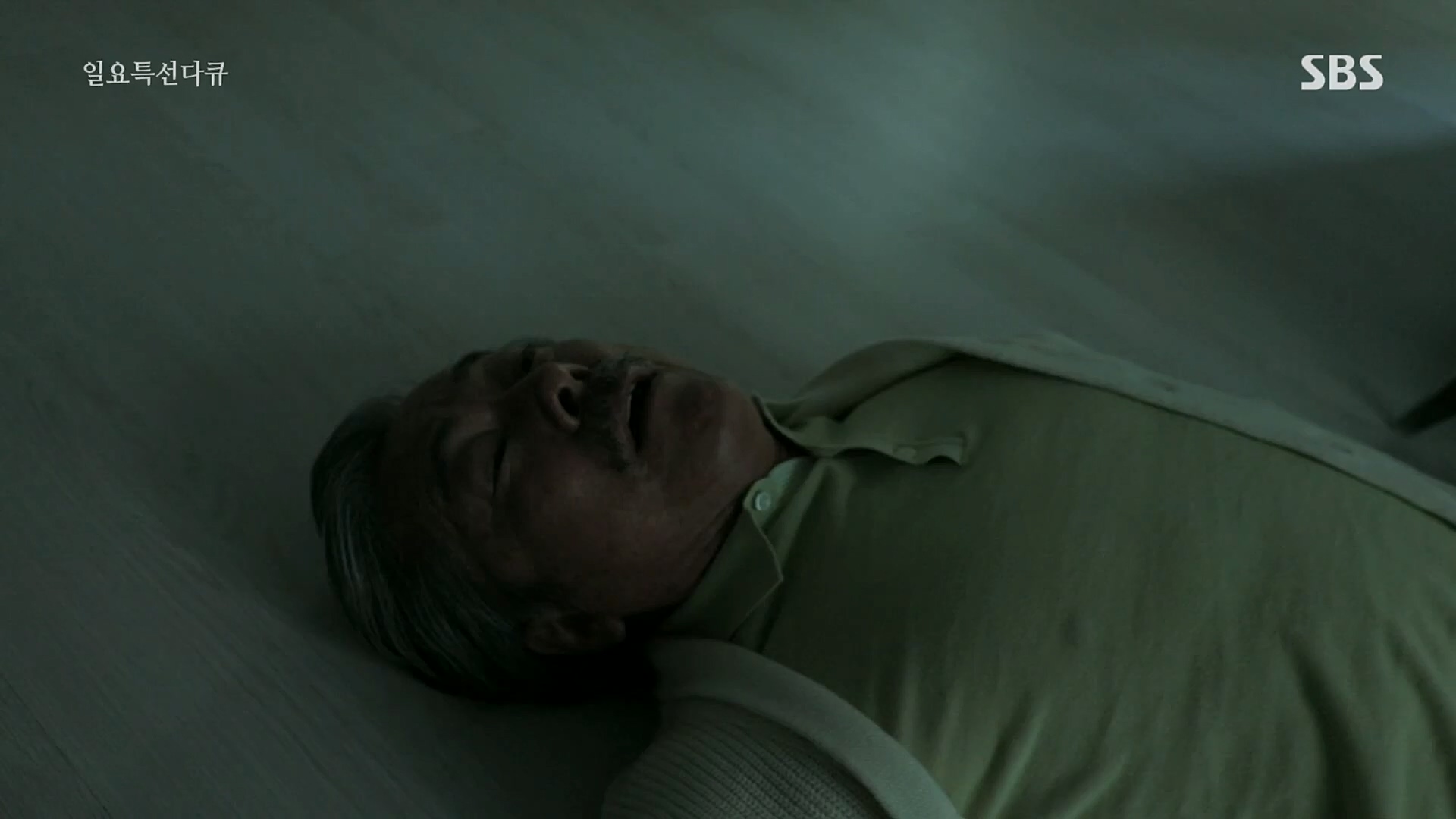 일요 특선 다큐멘터리.E305.230226p.H264-F1RST.mp4_20230301_010949.602.jpg