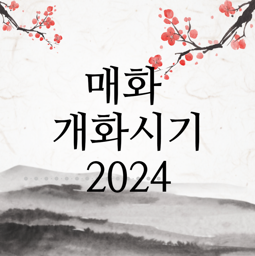  매화꽃 개화시기