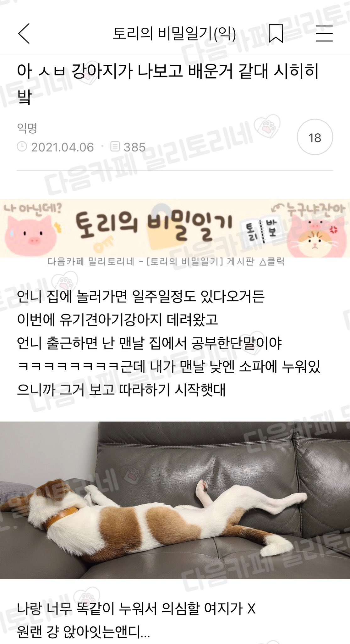 아 ㅅㅂ 강아지가 나보고 배운거같대