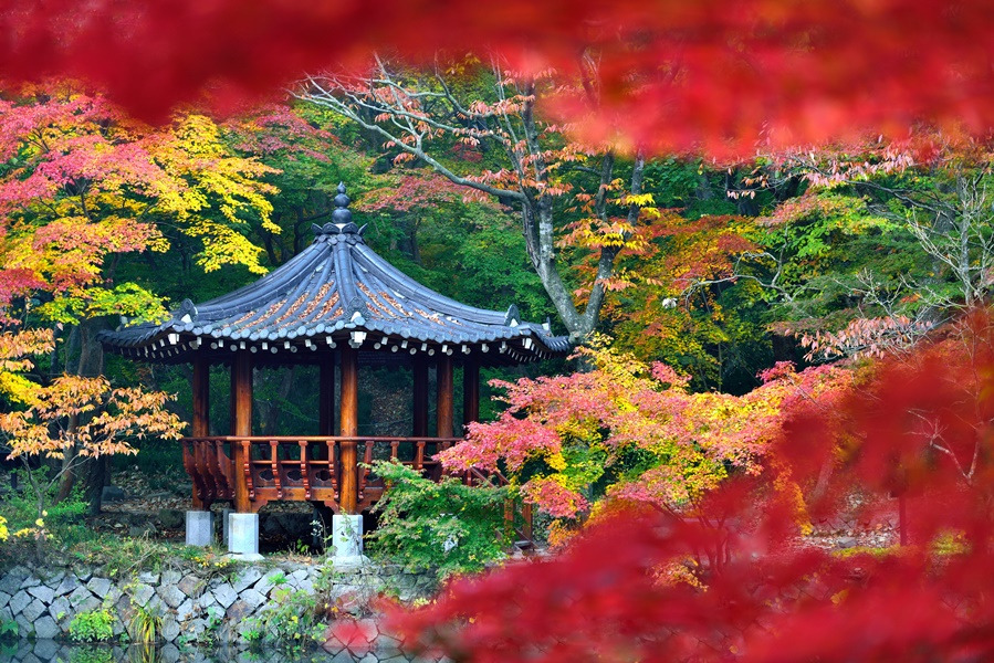 선운사 전경