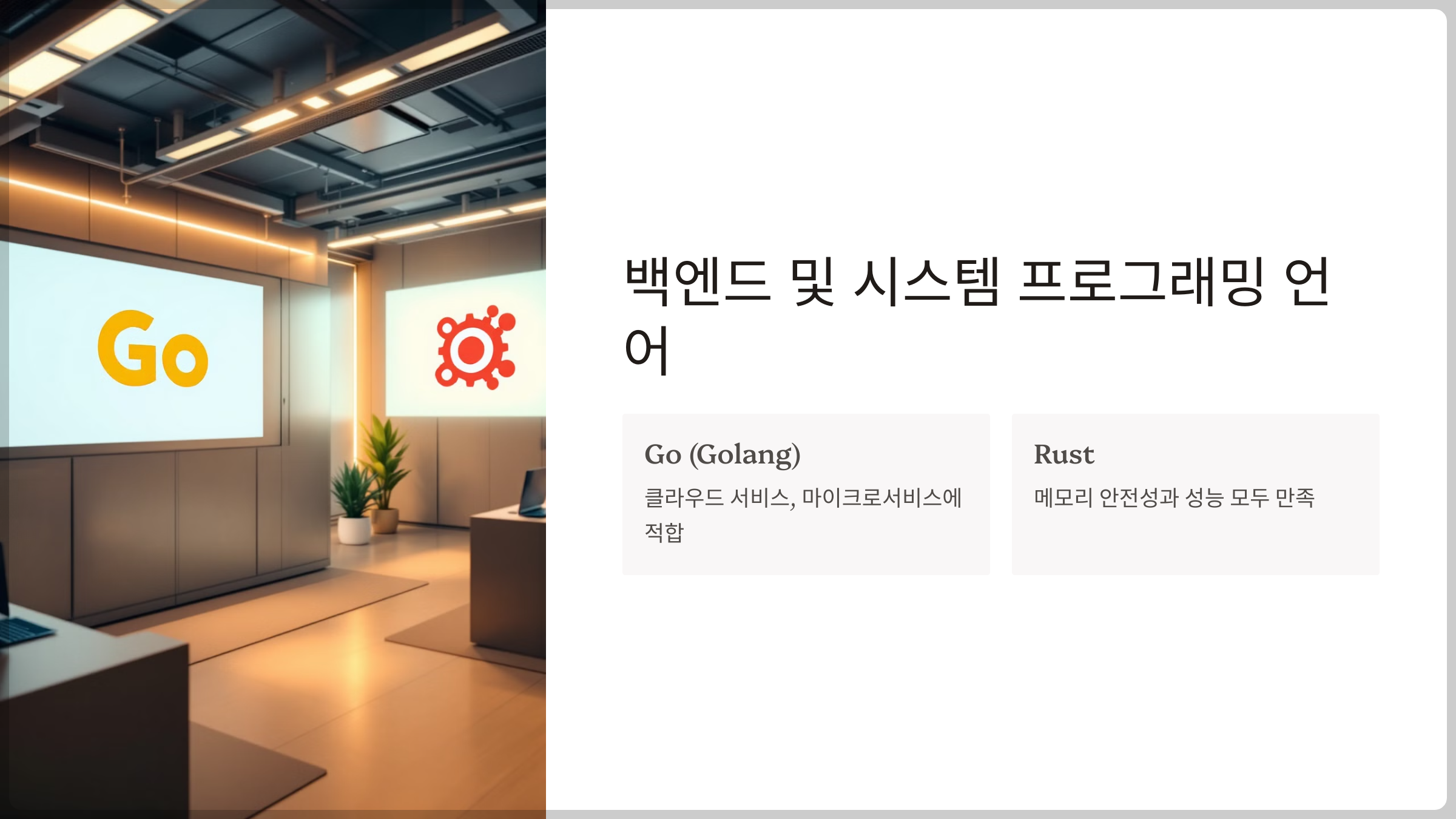 백엔드 및 시스템 프로그래밍 언어