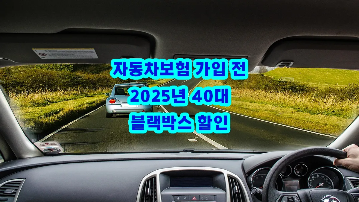 자동차보험 가입 전 2025년 40대 블랙박스 할인