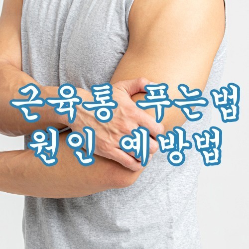  전신 온몸 근육통의 예방 및 원인과 푸는 법