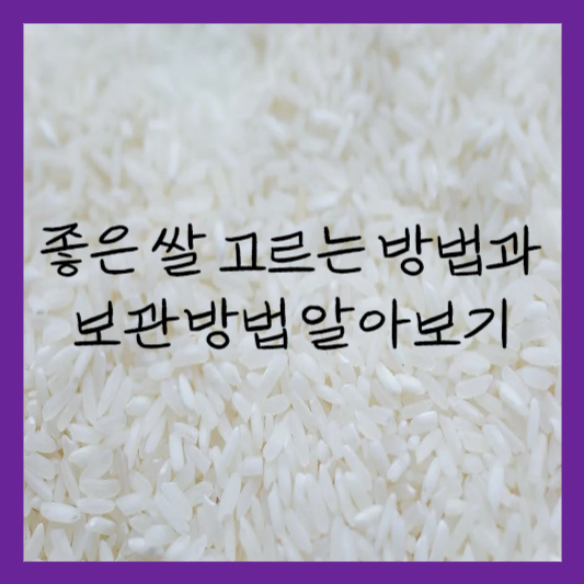  좋은 쌀 고르는 방법 알아보기 (보관 방법)