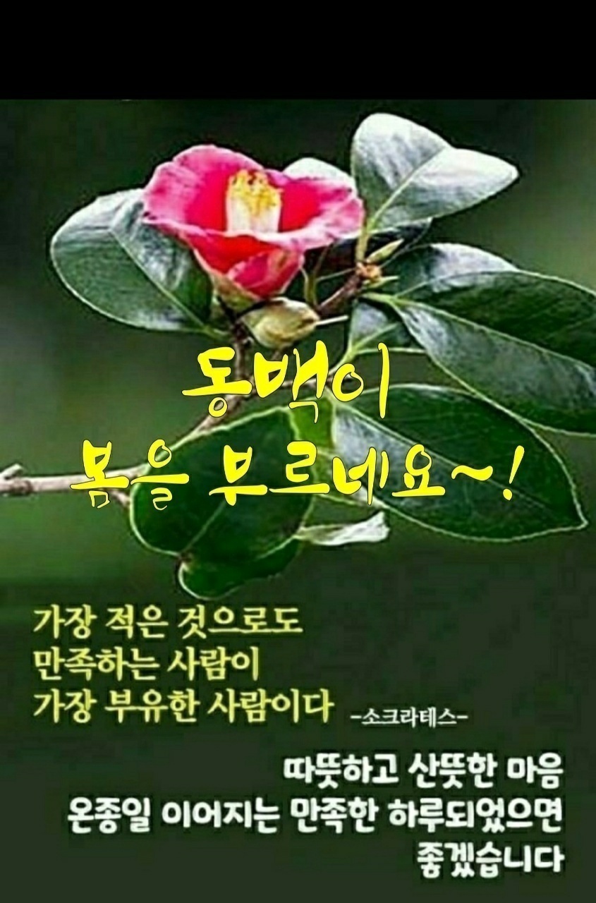 나이엔 졸업이 없고 즐거움엔 정년이 4
