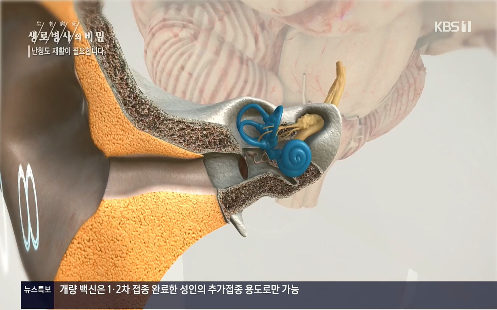 생로병사의 비밀.E837.220928p.H264-F1RST.mp4_20220930_212515.020.jpg