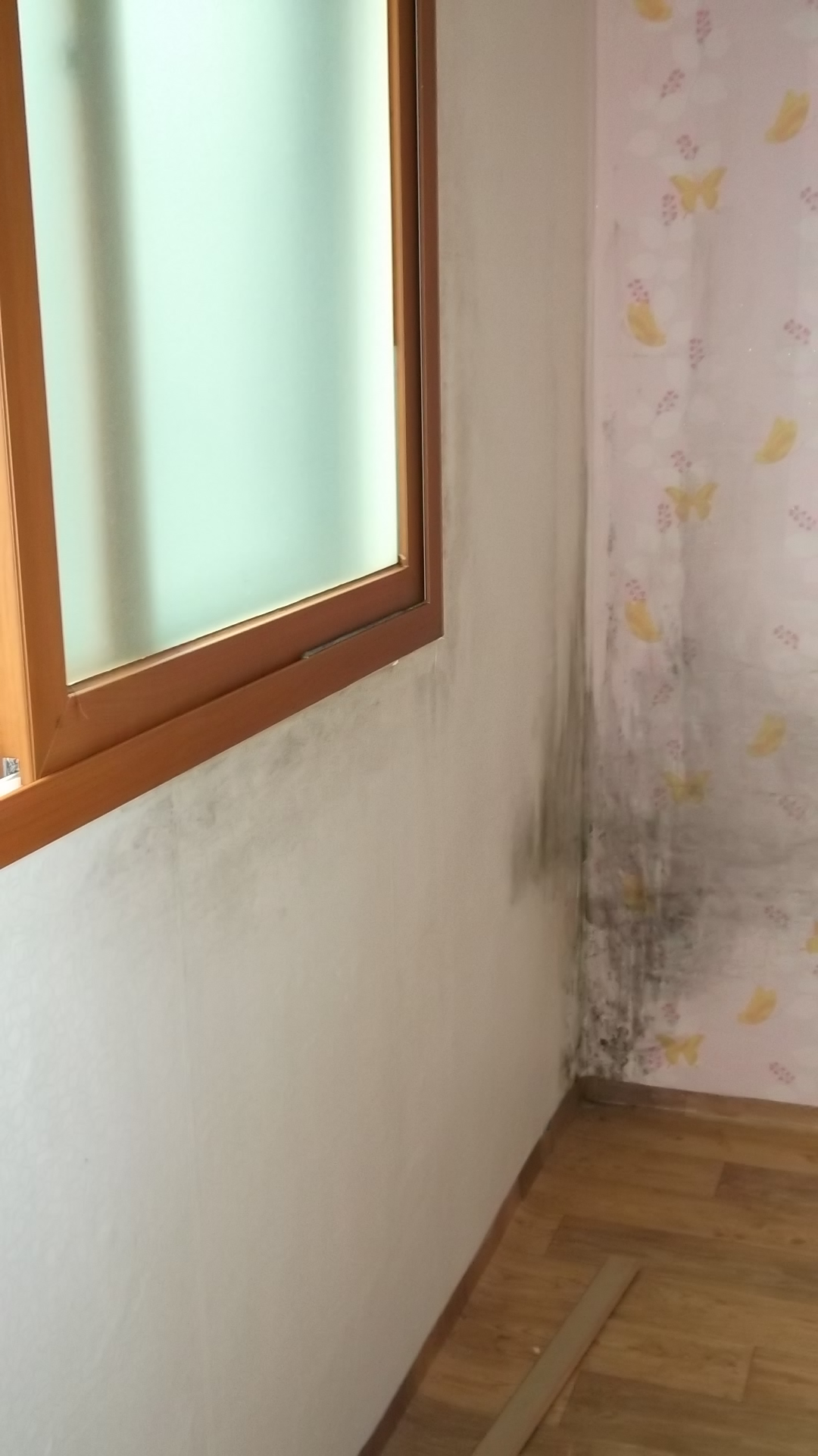  봄맞이 겨울에 생긴 벽지 곰팡이제거 방법!