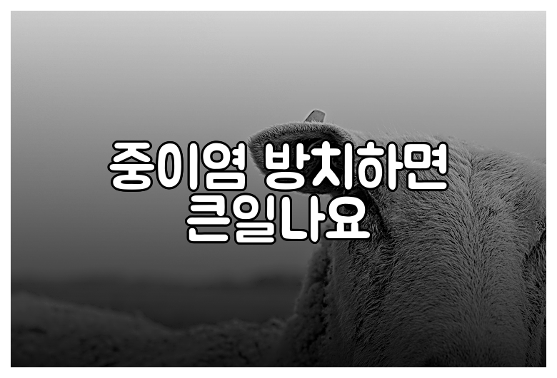 중이염 방치하면 큰일나요