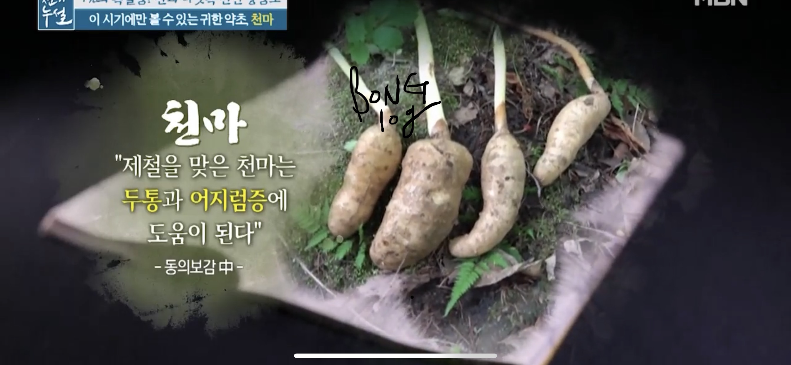 자라난 약초 이미지