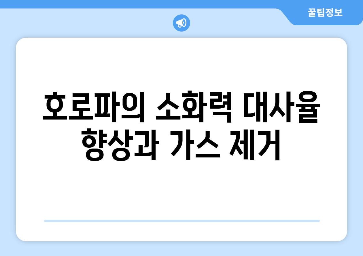 호로파의 소화력 대사율 향상과 가스 제거