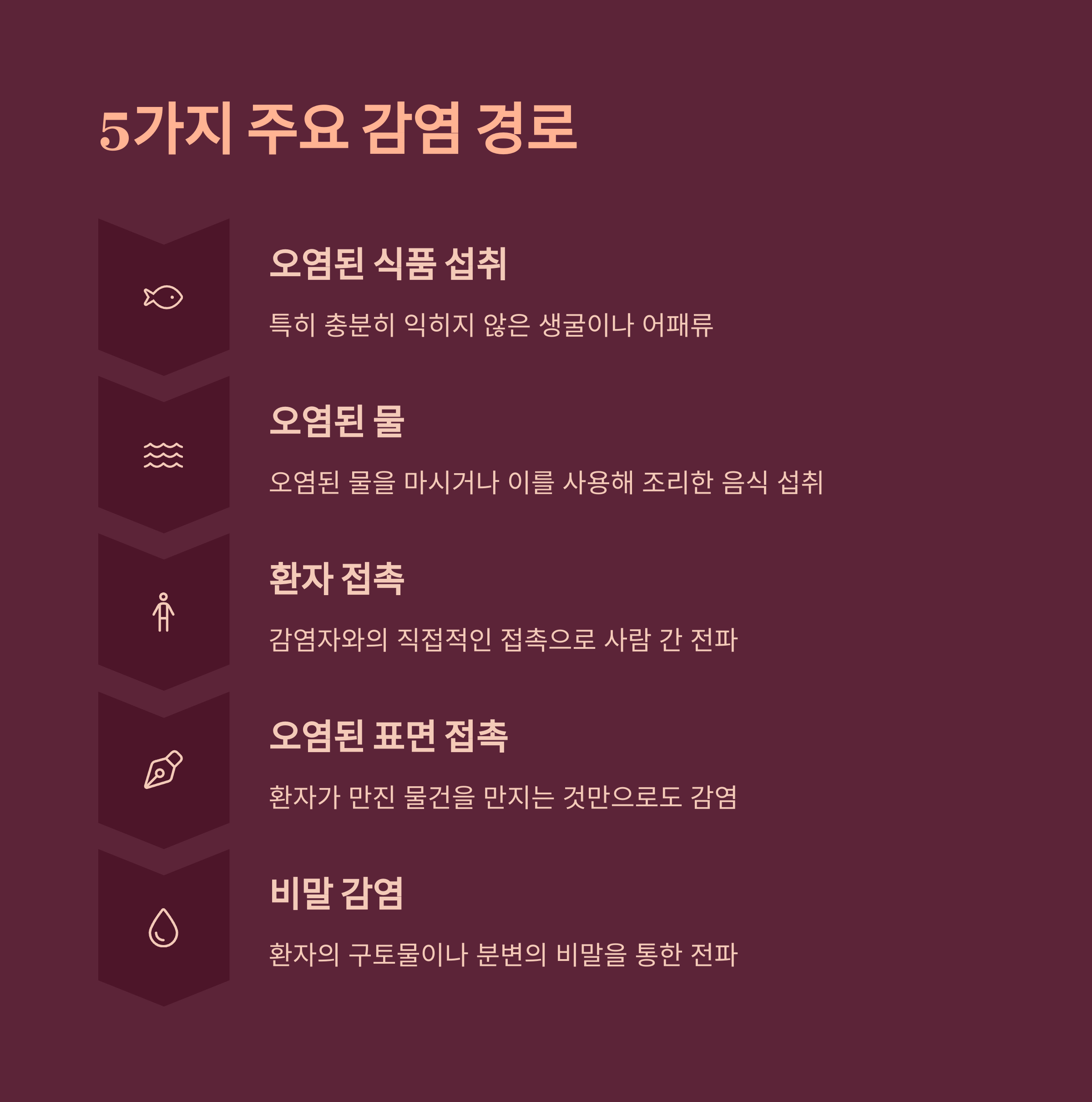 노로바이러스 5가지 주요 감염 경로