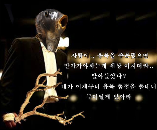나다10 이미지